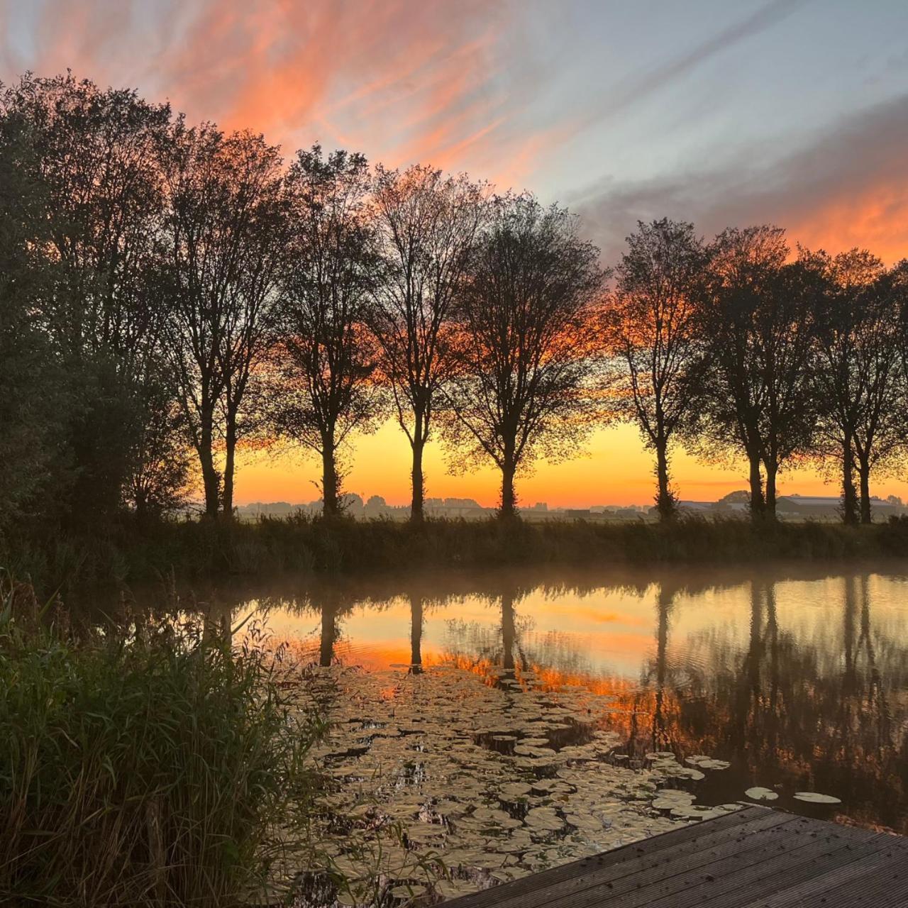 Aan De Hoge Weg Kamperveen Exterior foto