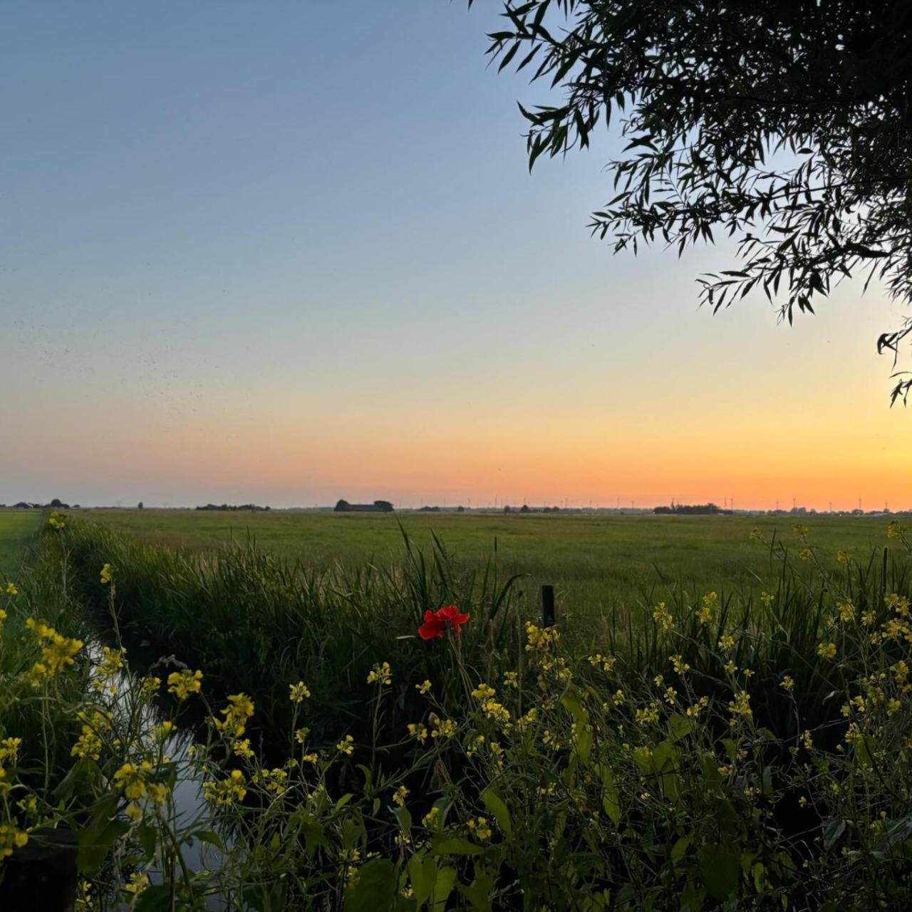 Aan De Hoge Weg Kamperveen Exterior foto