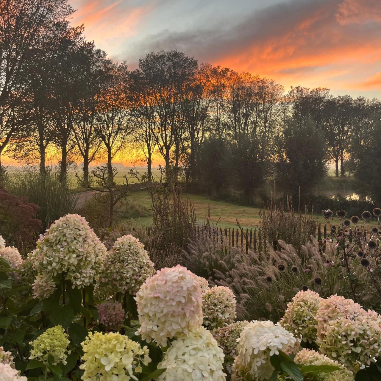 Aan De Hoge Weg Kamperveen Exterior foto