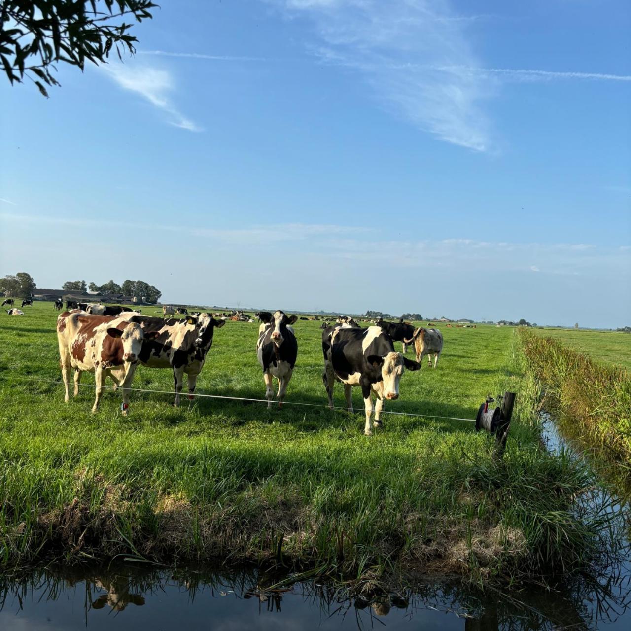 Aan De Hoge Weg Kamperveen Exterior foto